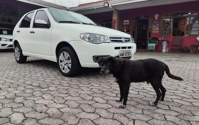 imagem-https://www.socarrao.com.br/sc-vehicle-images-prod/55860/1769989146043-7258663OR_1769719917_16_610.jpg