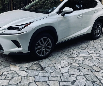 Lexus NX-300h 2018 Branco — foto 1 de 3