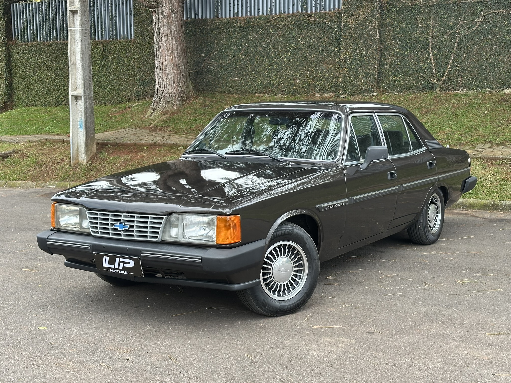 Chevrolet Opala 1988 Marrom — foto 1 de 3