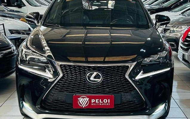 imagem-https://www.socarrao.com.br/sc-vehicle-images-prod/894032/1785768831224-7818941_1_B_89609e953b.jpeg