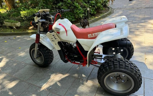 imagem-https://www.socarrao.com.br/sc-vehicle-images-prod/898704/1780932559627-7861086_1_B_f1b420a351.jpeg