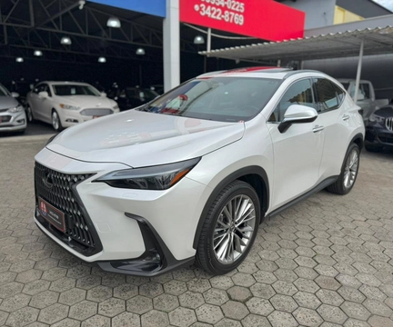 Lexus NX-350h 2022 Branco — foto 1 de 3