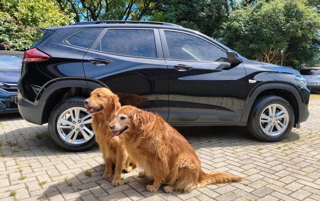 imagem-https://www.socarrao.com.br/sc-vehicle-images-prod/938956/1777941019183-7904247_15_B_5436cd90a5.jpeg