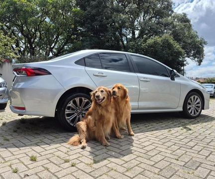 Toyota Corolla 2023 Prata — foto 1 de 3