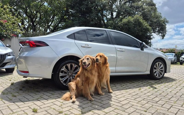 imagem-https://www.socarrao.com.br/sc-vehicle-images-prod/959798/1777940209990-7928964_1_B_c5b0e92f9f.jpeg
